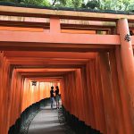 梅雨だってパワー全開！お参りすれば気分も上がる、伏見稲荷大社。千本鳥居はインスタ映えの最強スポット